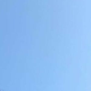 Meet your Posher, Corbin